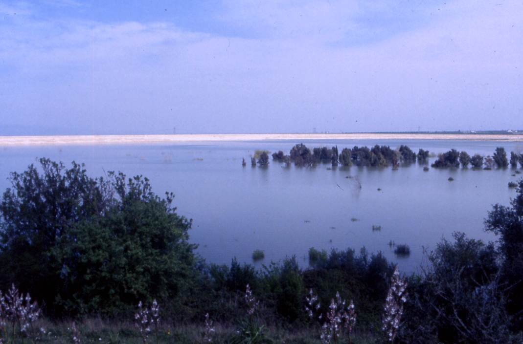 Laghi.......della PUGLIA